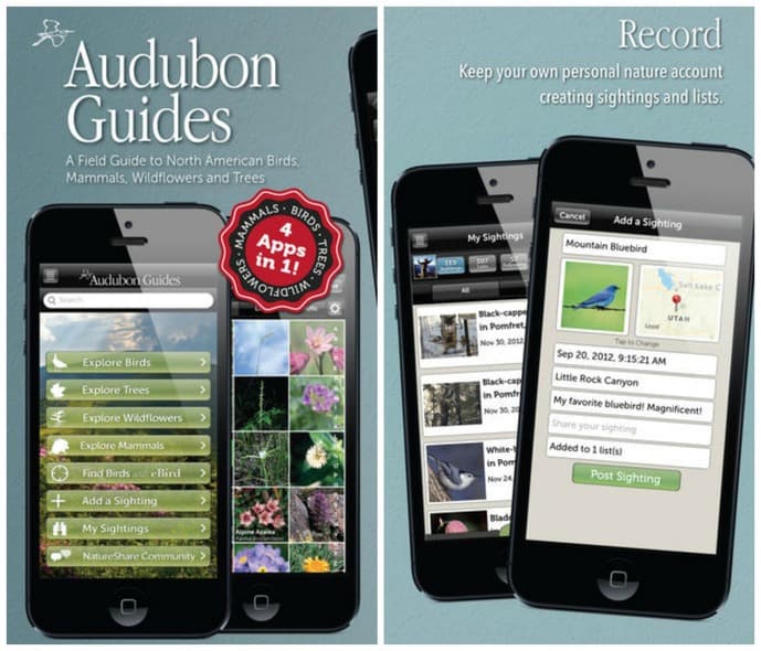 amantes da natureza audubon field guides