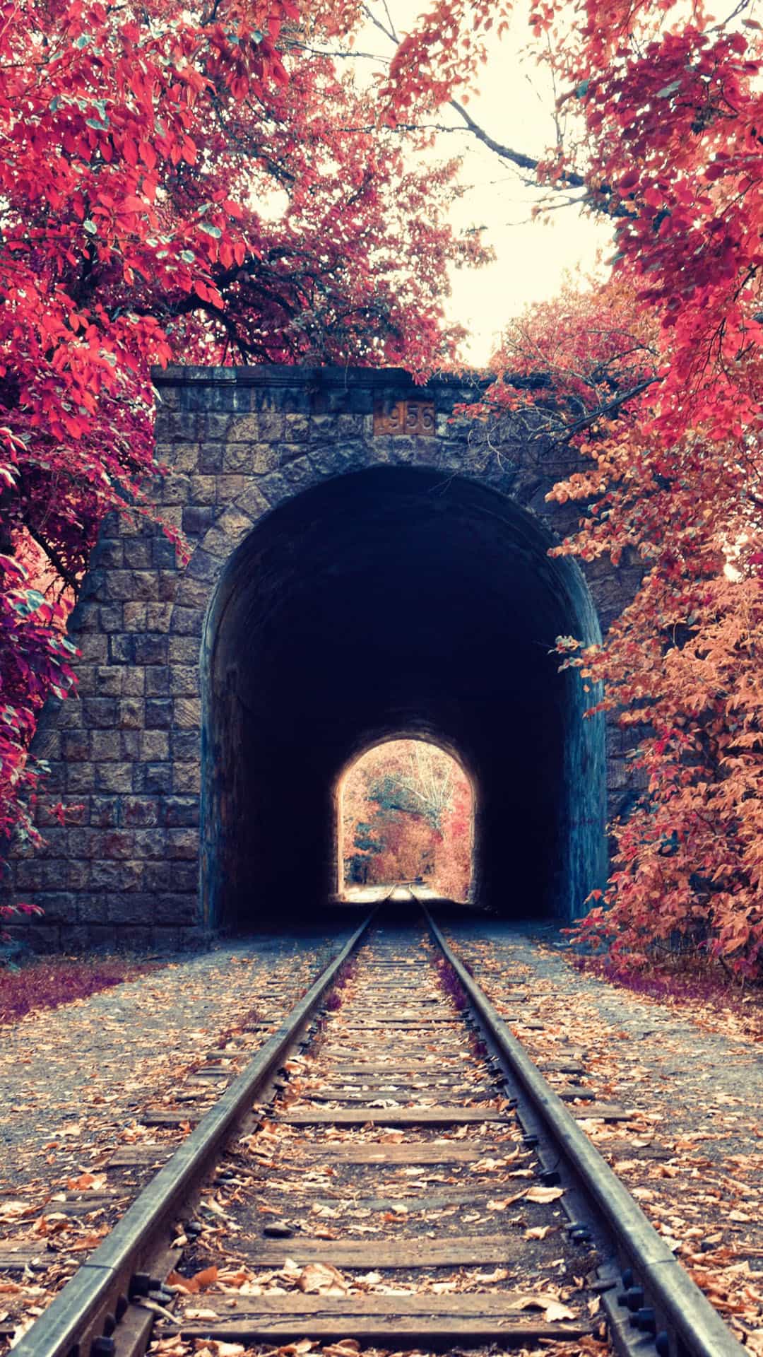 Autumn Train Tunnel Red Leaves Android Wallpaper