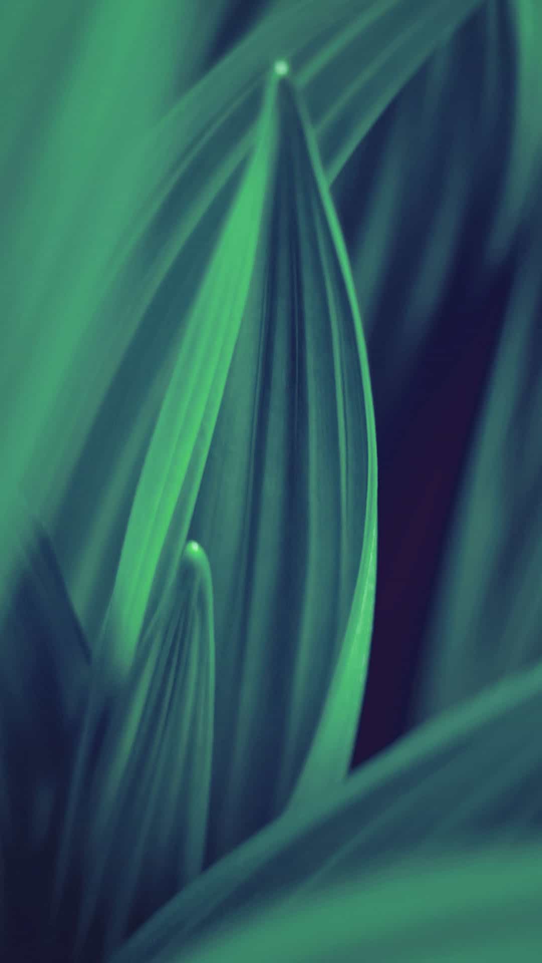 Green Leaf Lines Android Wallpaper