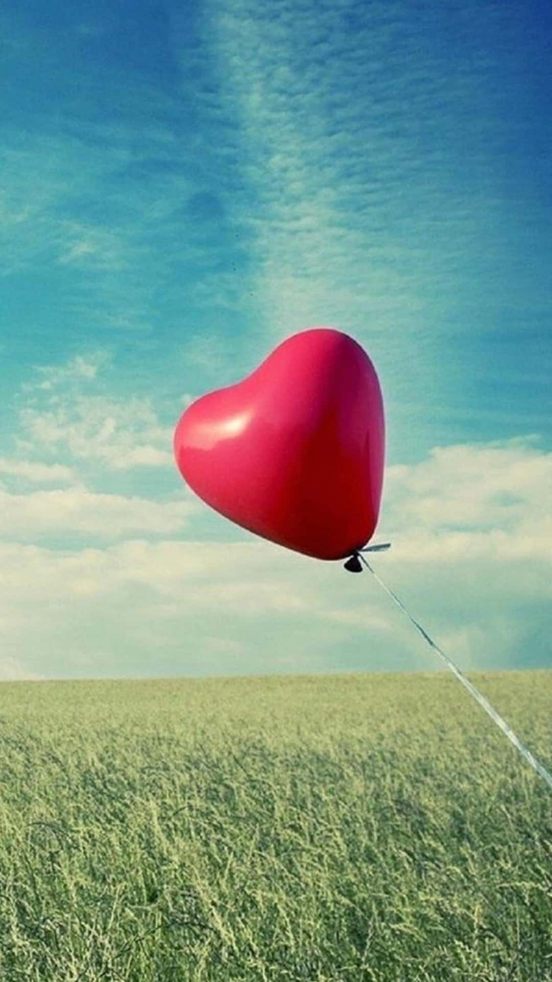 Love Balloon Valentines Day Gift Android Wallpaper
