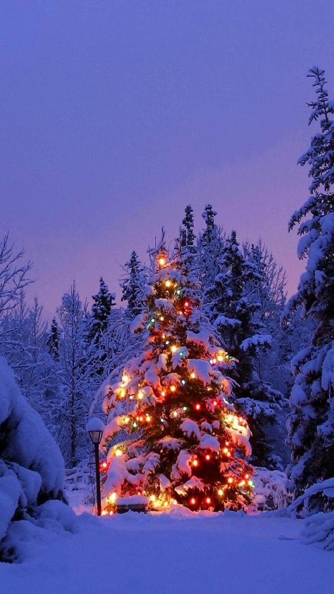 Snowy Decorated Christmas Tree Android Wallpaper