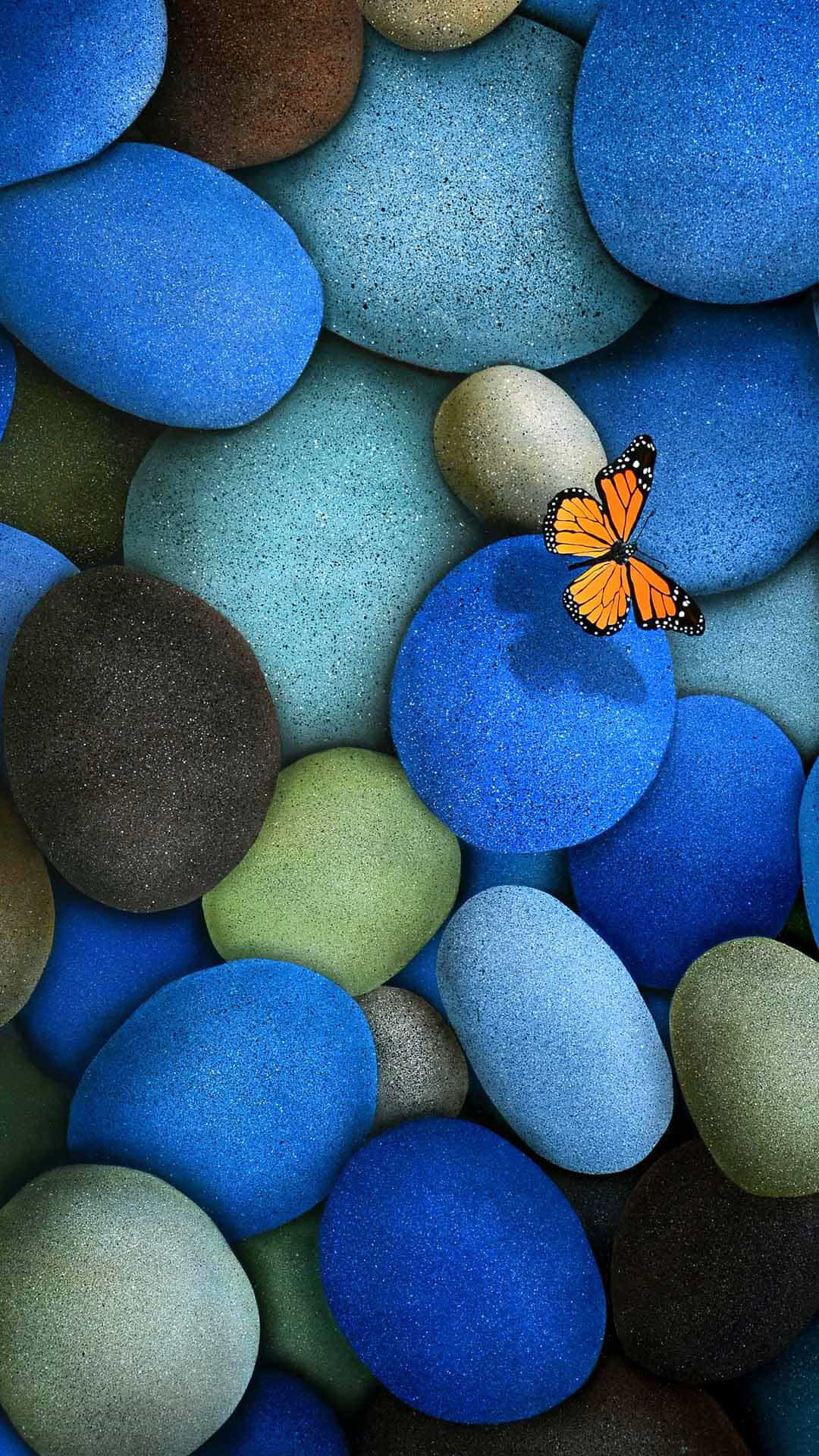 Blue Pebbles Orange Butterfly Android Wallpaper