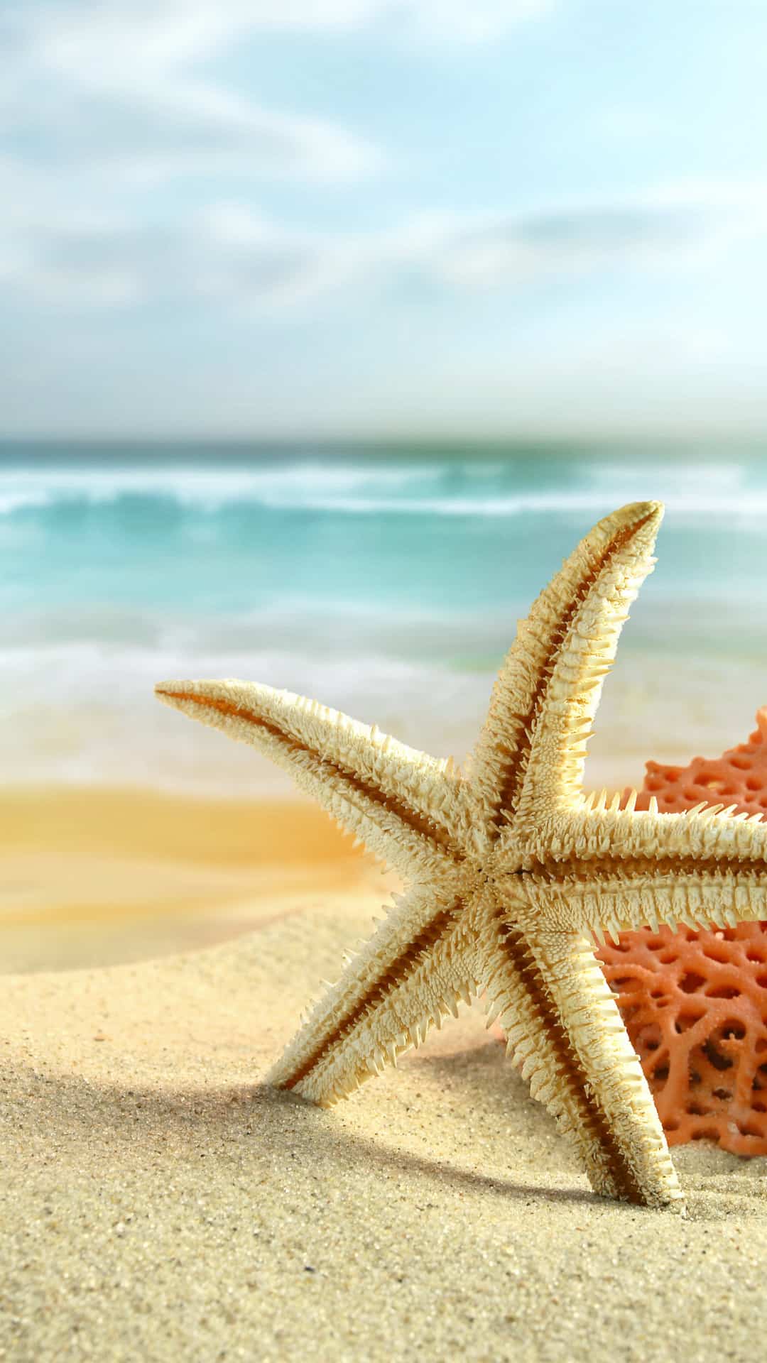 Sea Star Summer Beach Android Wallpaper