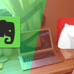 Bear vs Evernote