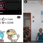 assistir shows ao vivo nas redes sociais instagram