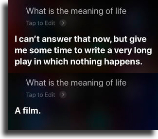 Meaning of life funny things to tell siri
