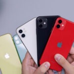 cover iPhone 11 colors