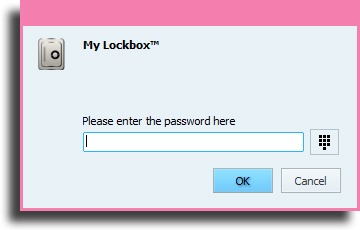 enter password 
