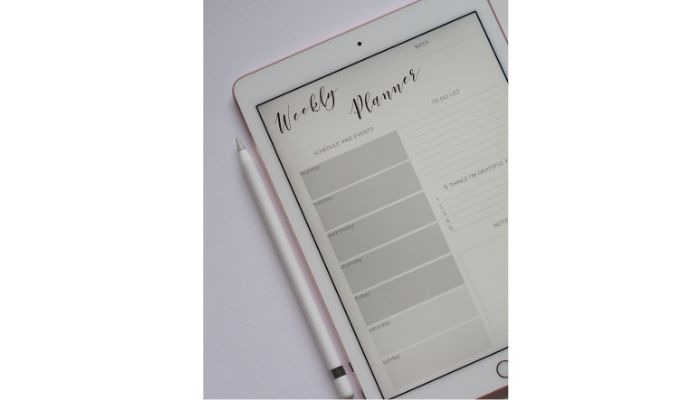 Avantages de l'iPad pour le travail : illustrations et annotations