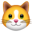 Meaning of the cat face emoji in WhatsApp