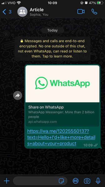 direct whatsapp link with text 