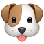 Significado do emoji Cara de cachorro no WhatsApp